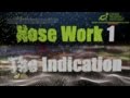Training Through Pictures with Dave Kroyer- Nose Work 1 - The Indication