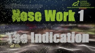 Training Through Pictures with Dave Kroyer- Nose Work 1 - The Indication
