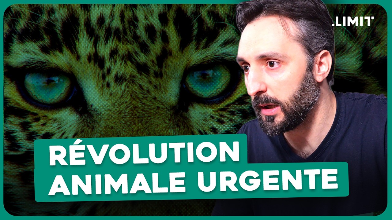 PEUT-ON AIMER LES ANIMAUX… ET LES MANGER ?