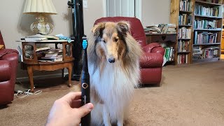 Sonic Electric Toothbrush Review! by Creative Diamond Dogs 40 views 1 year ago 4 minutes, 50 seconds