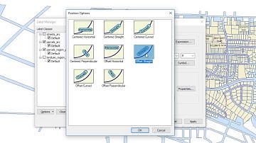 Maplex setting In GIS for beginners