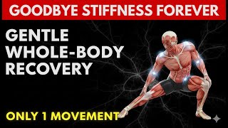 Full Body Stretch for Gentle Whole-Body Recovery After 60 screenshot 3
