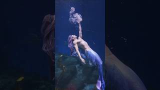 Merman Form Of Rafayel