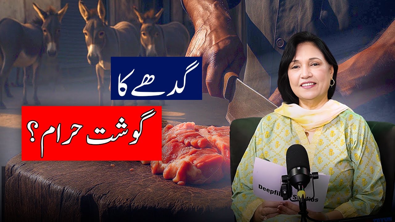 Donkey Meat Scandal: What Are We REALLY Eating Every Day?