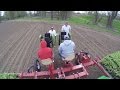 #05 - Linear Repairs pt. 2 and Planting Radish and Beans