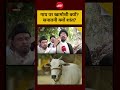 Bakrid Controversy Viral Video: गाय पर खामोशी क्यों? सनातनी क्यों शांत? #shorts #cmyogi #muslims