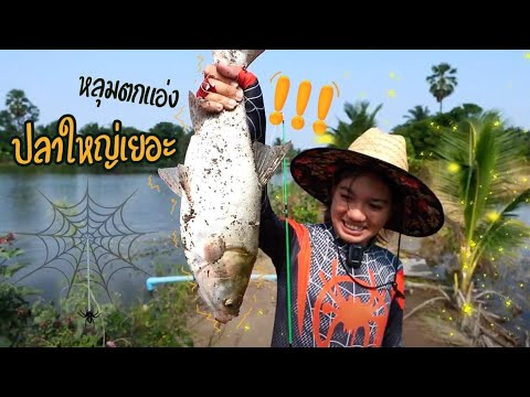 น้ำท่วม ปลามารวม ตรงนี้ | เด็กตกปลา