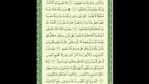 سورة النحل 9 من الأية 73 إلى 79