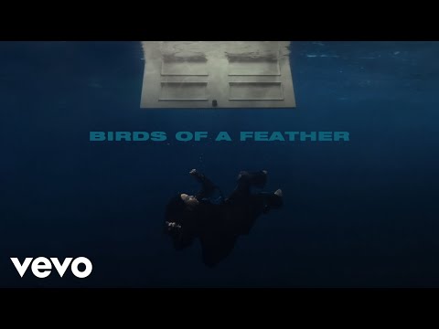 Billie Eilish - Birds Of A Feather