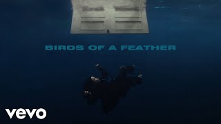 Billie Eilish  BIRDS OF A FEATHER (Official Lyric Video)