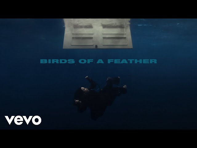 Billie Eilish - BIRDS OF A FEATHER (Official Lyric Video) class=