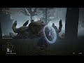 Lets Play Elden Ring Part 15