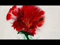 #72 Bright flower balloon dip Acrylic pouring abstract