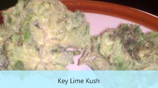 Best Medical Marijuana Strains for Anxiety
