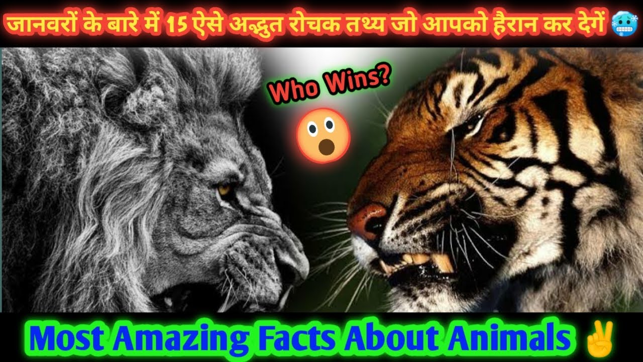 Facts about animals