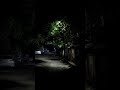Night view