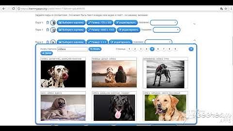 Видео-урок упражнения "Найди пару" на learningapps. org