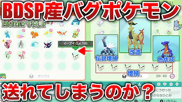 ポケモンホーム無限増殖