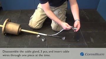 SAL T MSSBSV H Step 4 - Inserting the transducer cable