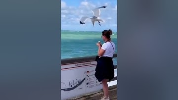 Give this video a title wrong answers only part 4