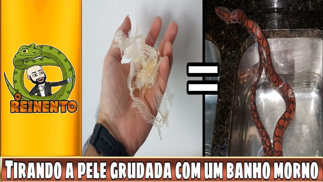 hobby lobby jobs O BANHO DA JIBÓIA, PELE GRUDADA, TROCA MAL FEITA