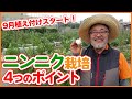 家庭菜園や農園で絶対作りたいニンニク栽培！4つのポイントを徹底解説！ホワイト六片・葉ニンニクなどにんにくの育て方を紹介！/ How to grow garlic