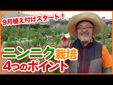 家庭菜園や農園で絶対作りたいニンニク栽培！4つのポイントを徹底解説！ホワイト六片・葉ニンニクなどにんにくの育て方を紹介！【農園ライフ】