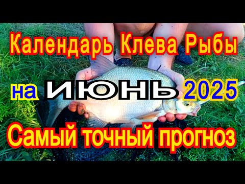 Календарь клева на