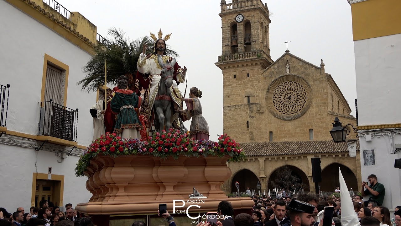 Hermandad de la Entrada Triunfal (Borriquita) de Córdoba | Domingo de Ramos 2024