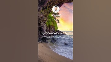 الشيخ فارس عباد  #faresabbad #اكسبلور#explore #لايك #قران_راحة_نفسية #قرآن #سورة_الروم