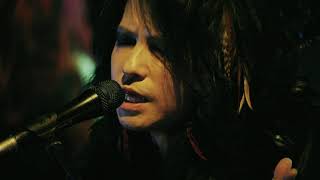 VAMPS Unplugged on MTV