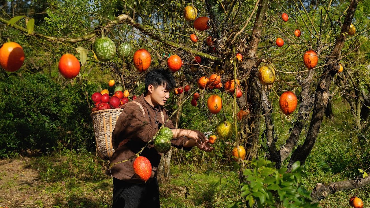 Make exquisite snacks with dog shit melon (also known as hovenia seeds)有人叫它狗屎瓜，看似很恶心，炒香后的瓜子却卖500克一斤