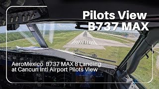 Boeing 737 Max 8 Landing At Cancun International Runway 12L Airport Pilots Eyes View