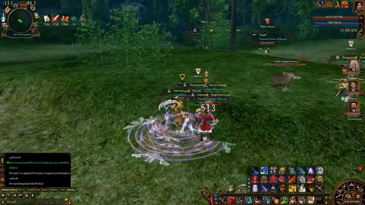 Voyage Century Online New Amsterdam PvP killerondrugs YouTube