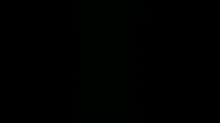 Kopmam Lâzım - Mustafa Sandal