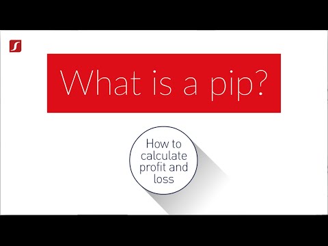 What is a PIP? How to calculate PIP value? - TMS