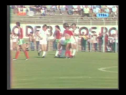 Video: Ce fel de șobolan este 1984?