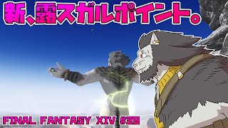 【FINAL FANTASY XIV】 #39 言葉で言えない 今さら 【ファイナルファンタジー14 実況】