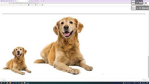 HTML 무작정 따라하기 【기초문법】 2. 자주쓰는 태그 알파벳 순 정리 I~Z