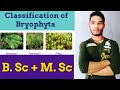 Classification of Bryophyta