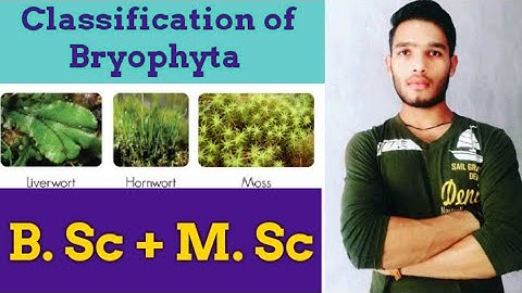 Classification of Bryophyta