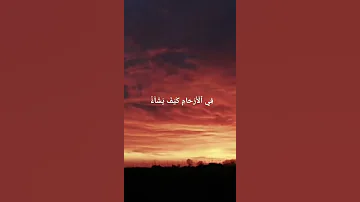 ان الله لا يخفى عليه شيء في الارض ولافي السماء عبد الرحمن مسعد 