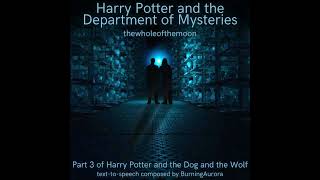 Harry Potter and the Department of Mysteries: Part 1 by thewholeofthemoon | Harry Potter and the ...