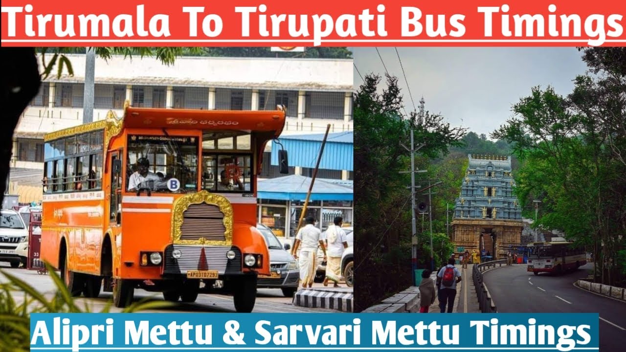 ttd-latest-updates-tirumala-to-tirupati-bus-timings-details-alipri