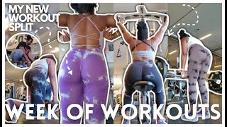 WEEK OF WORKOUTS + how I fixed my SI Joint pain & physio *glutes, core, back, chest, shoulders* by Shayy Butter 335 views 1 month ago 20 minutes