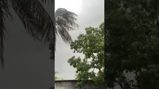 হঠাৎ করে তুফান।#easy #love #funny #song #memes #fyp #shorts #reels #trending #twice #full #night