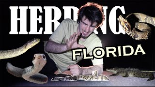 HERPING The Florida EVERGLADES Episode 2: Of Sea Turtles And Snakes