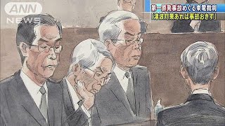 東電裁判　地震学者「対策すれば事故起きなかった」(18/05/10)