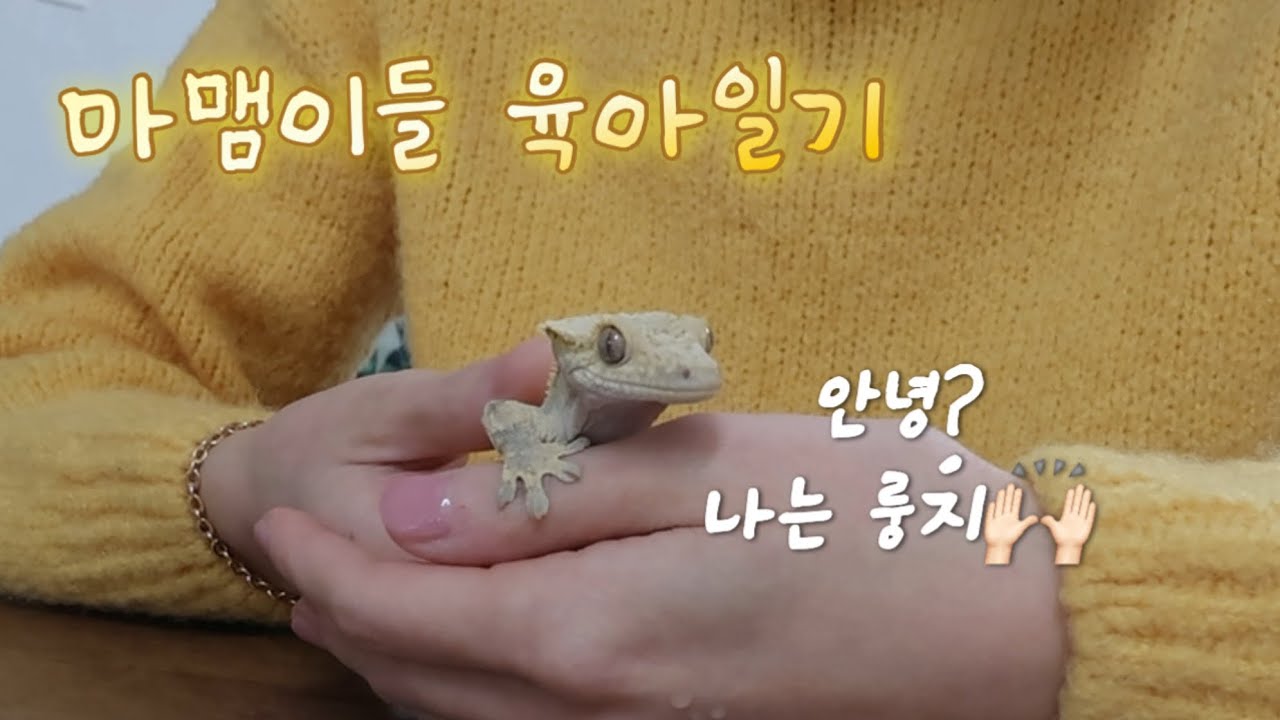 마뱀이 육아일기_밥주고 청소하고