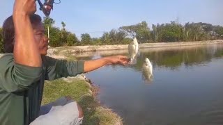 Download Lagu buka kolam perdana Hamdani tgl 1 februari 2025 di kampung nelayan indah MP3